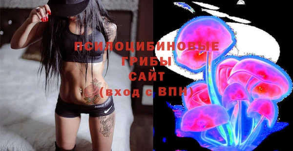 MDMA Бородино