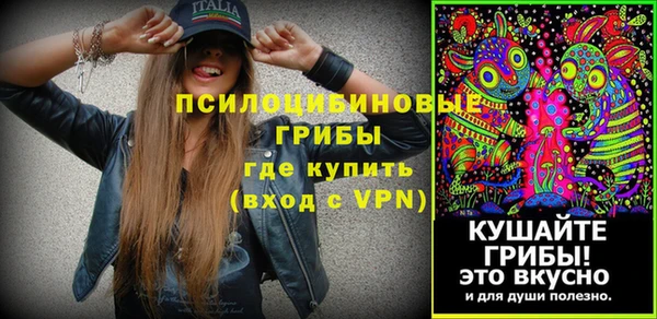 спиды Бронницы